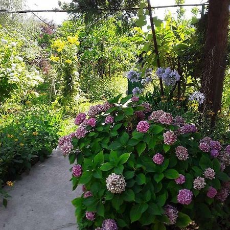 Zeleniy Dvorik Guest House New Athos Ngoại thất bức ảnh