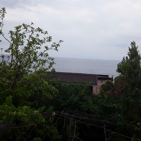 Zeleniy Dvorik Guest House New Athos Ngoại thất bức ảnh