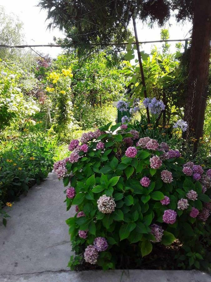 Zeleniy Dvorik Guest House New Athos Ngoại thất bức ảnh