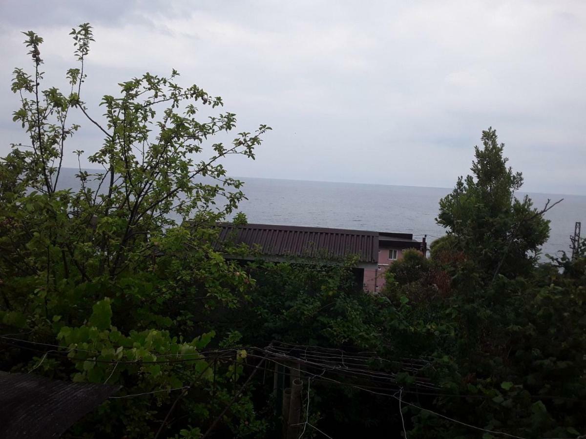 Zeleniy Dvorik Guest House New Athos Ngoại thất bức ảnh